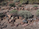 photo thumbnail #11
