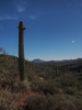 photo thumbnail #13
