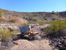 photo thumbnail #9