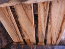 photo thumbnail #12