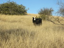 photo thumbnail #3