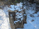 photo thumbnail #5