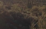 photo thumbnail #4