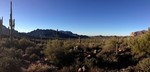 photo thumbnail #5