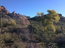 photo thumbnail #6