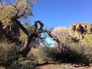 photo thumbnail #14