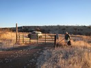 photo thumbnail #1