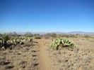 photo thumbnail #15