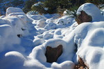 photo thumbnail #11