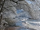 photo thumbnail #9