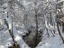 photo thumbnail #10