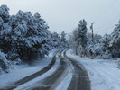 photo thumbnail #2