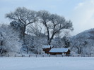 photo thumbnail #6