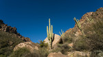 photo thumbnail #3