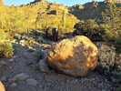 photo thumbnail #3