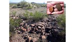 photo thumbnail #6