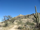 photo thumbnail #8