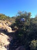 photo thumbnail #12