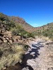 photo thumbnail #15