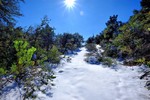 photo thumbnail #13