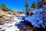 photo thumbnail #15