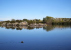 photo thumbnail #10