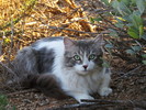 photo thumbnail #9
