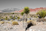 photo thumbnail #6