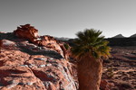 photo thumbnail #3
