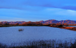 photo thumbnail #3