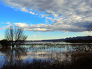 photo thumbnail #7