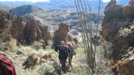 photo thumbnail #13
