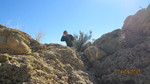 photo thumbnail #15