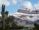 photo thumbnail #8