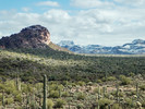 photo thumbnail #13