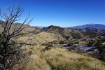 photo thumbnail #3