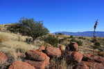 photo thumbnail #4