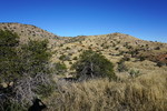 photo thumbnail #5