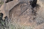 photo thumbnail #4