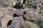 photo thumbnail #9