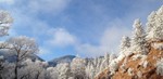 photo thumbnail #4