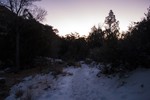 photo thumbnail #5
