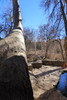 photo thumbnail #9