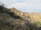 photo thumbnail #2