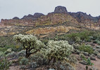 photo thumbnail #3