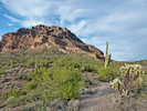 photo thumbnail #6