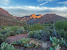 photo thumbnail #13
