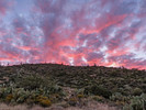 photo thumbnail #15