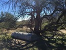 photo thumbnail #2