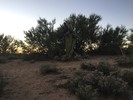 photo thumbnail #13